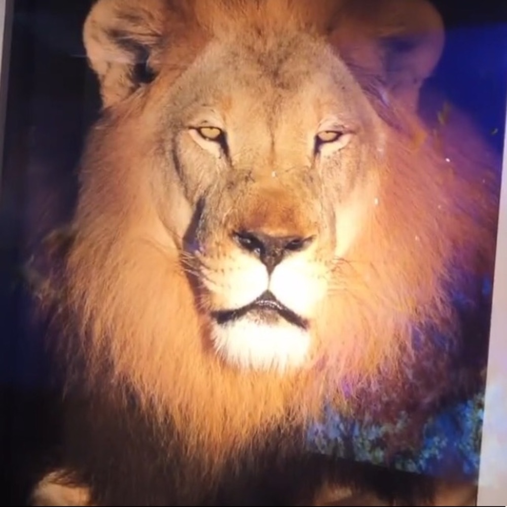 Meet your Posher, Cindy